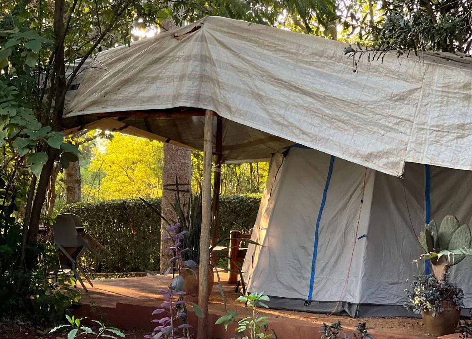 Campsite Jinja Jungle Hotel