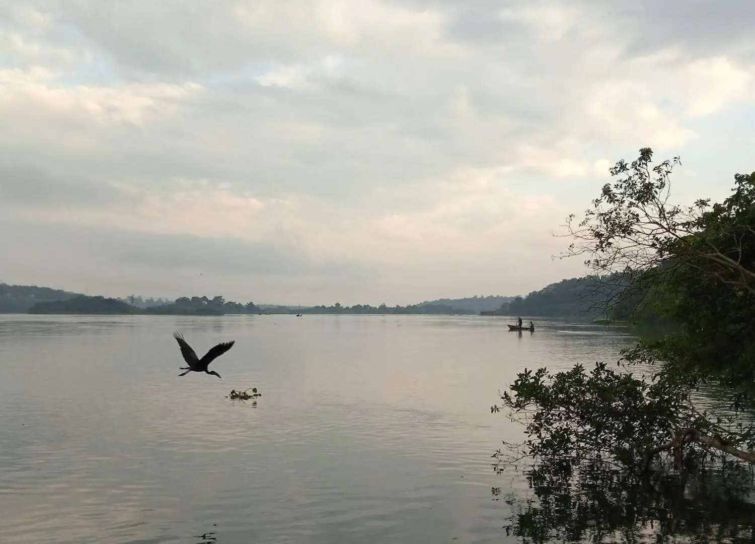 Jinja Jungle Hotel Campsite