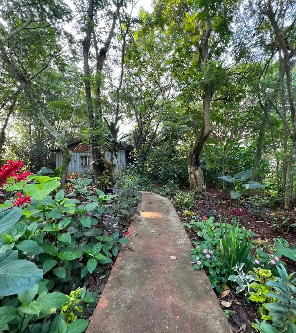 Jinja Jungle Hotel
