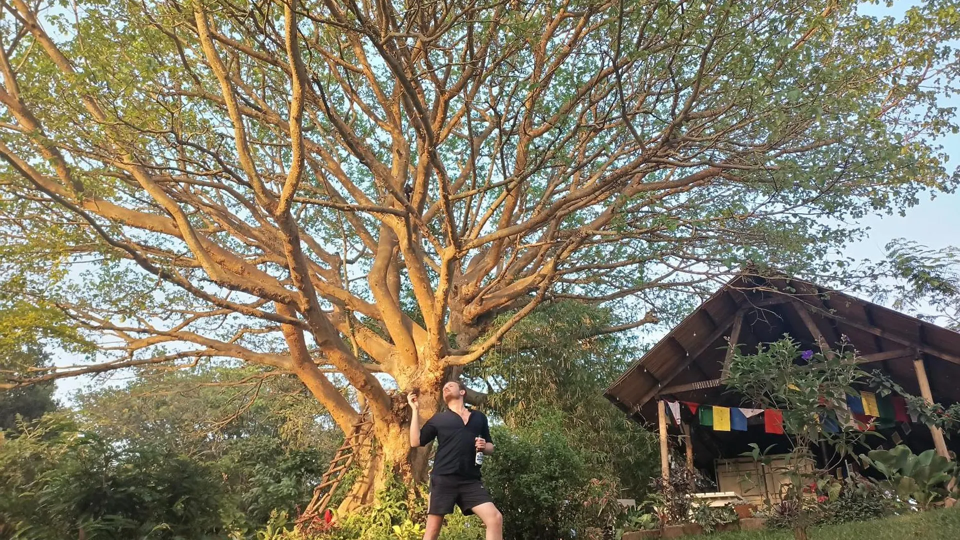 Jinja Jungle Hotel Campsite