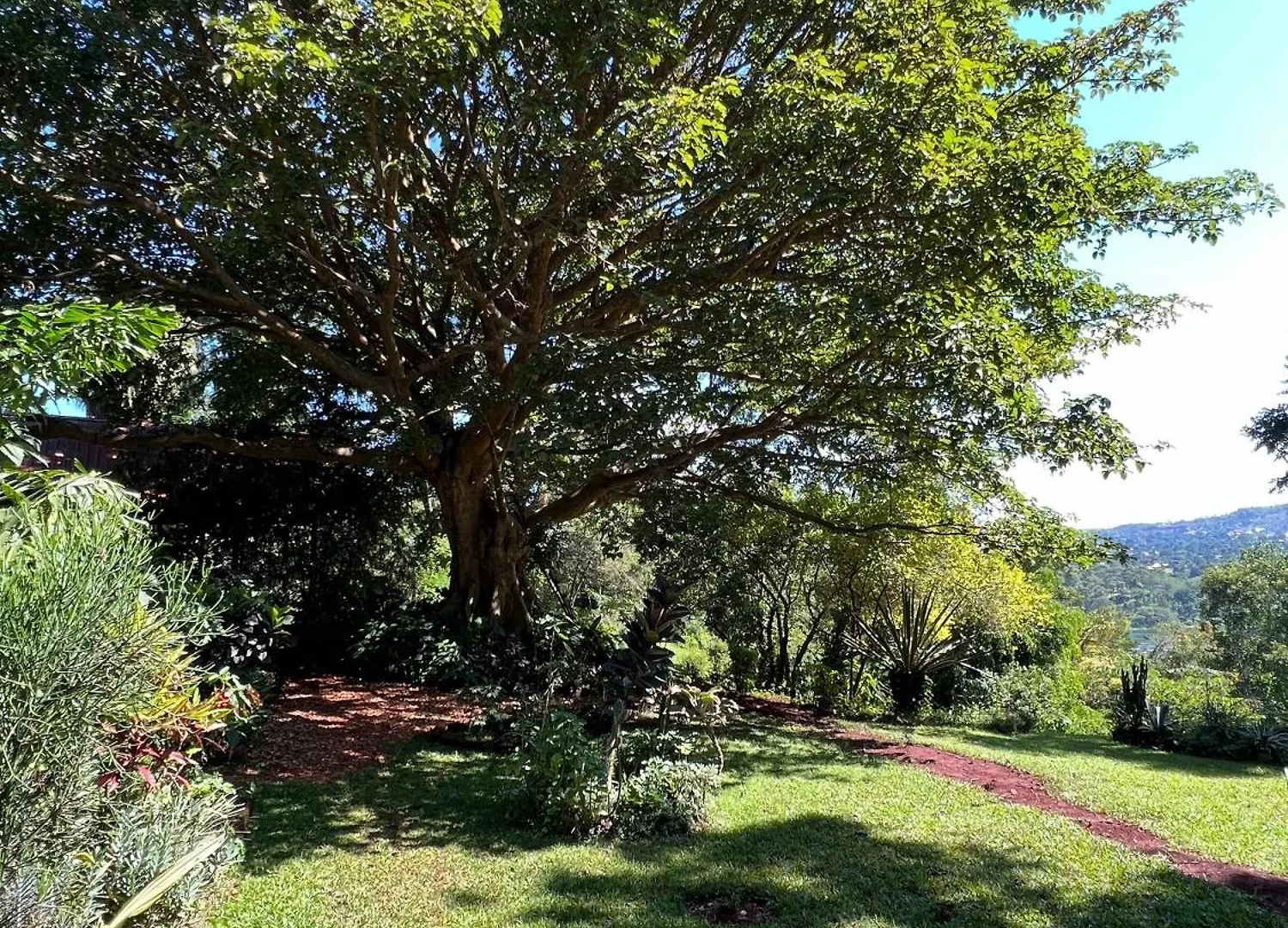 Jinja Jungle Hotel Uganda